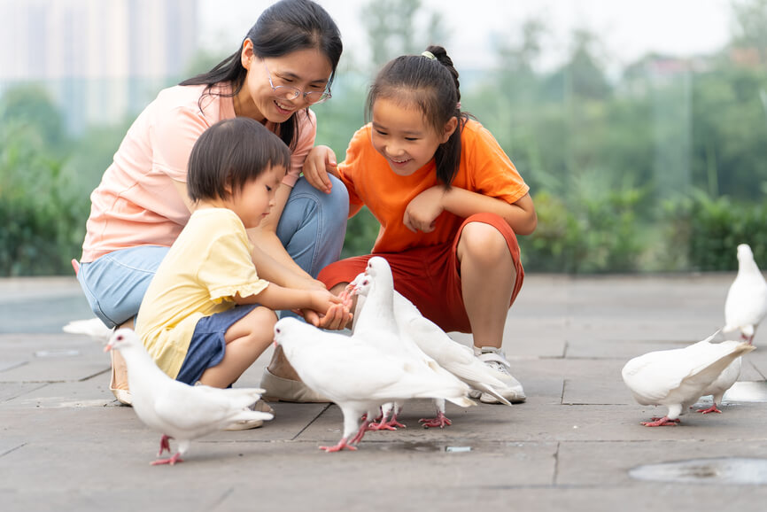 family-feeding-pigeons-in-park-family-values