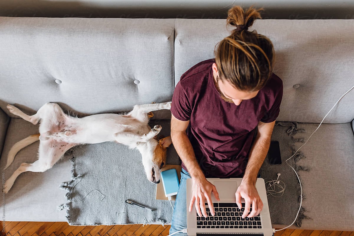 man-typing-beside-dog-career-development